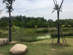 -上海长兴岛郊野公园