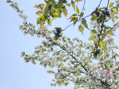 -浙江大学(玉泉校区)