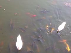 -北京民族园葉子里酒店(鸟巢店)