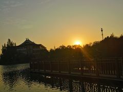 -五缘湾湿地公园