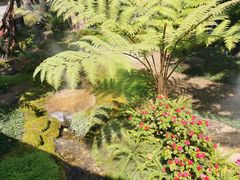 -Chom Cafe and Restaurant