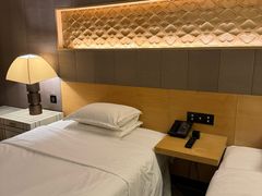 -西安赛瑞喜来登大酒店