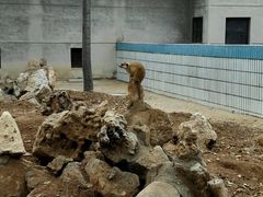 -石家庄市动物园