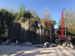 -合肥滨湖国家森林公园