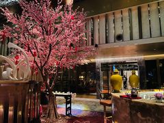 -金轩中餐厅 Jin Xuan(浦东丽思卡尔顿酒店)