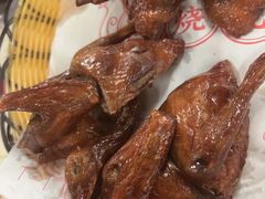 -百利鸽王(紫薇路店)
