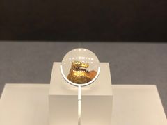 -盘龙城国家考古遗址公园