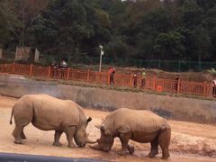 -泉州海丝野生动物世界