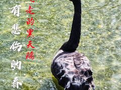 -三里河公园