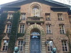 -普林斯顿大学