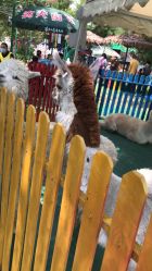 -萌宠亲子动物乐园(槐房万达店)