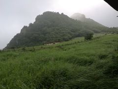 -白草畔自然风景区