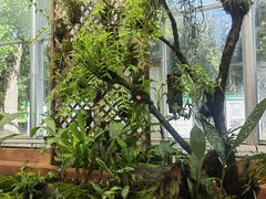 -国家植物园南园