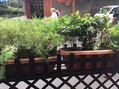 -钟方模白家肥肠粉(春熙店)