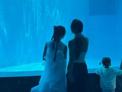 -海合安成都极地海洋公园