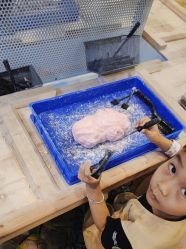 点击看大图 -卡通尼·Safari非洲探索乐园·生日会(金桥国际商业广场店)