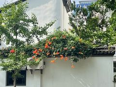 -西湖游船