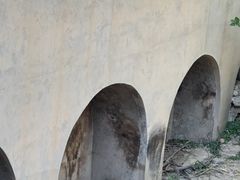 -保定市动物园