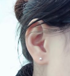-花师傅