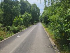 -广富林郊野公园