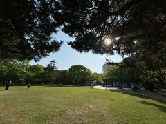 -瀛洲公园