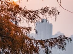 -重庆彩云湖湿地公园