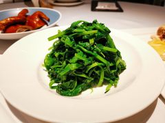 鸡油豌豆苗-粤界(望京金辉店)