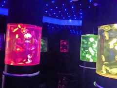 -萌宠奇缘(荣鼎店)