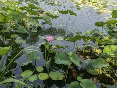 -承德避暑山庄景区
