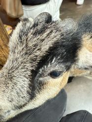 -Zoolung Zoolung动物主题公园(海信广场店)