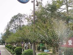 -北川老县城地震遗址