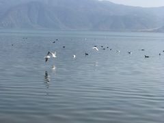-西昌邛海湾柏樾酒店(原邛海湾柏栎度假酒店)
