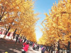 -辽宁大学(崇山校区)