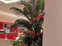 -摩欧客意式餐厅(高新活力汇店)