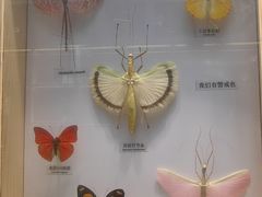 -大连自然博物馆