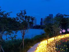 -怡海公园(桂城街道)