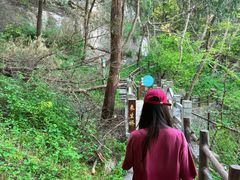 -牛郎织女景区