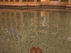 -水之梦(黄浦店)