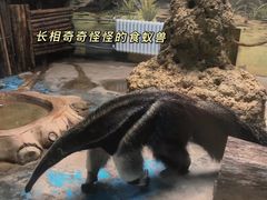 -济南野生动物世界