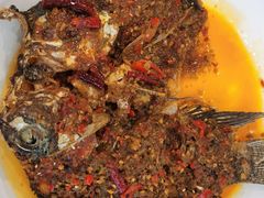 -草墩罗非鱼庄•野生菌•腊排骨(七星街上段店)