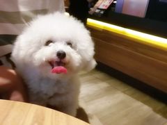 -星巴克臻选(周浦万达店)