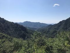 -大岭沟猕猴桃谷风景区