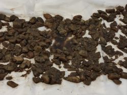 -姜美堂·蒸姜除湿の纤体美颜馆