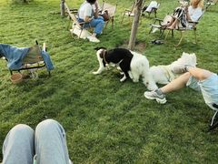 -爪吧宠物乐园 (温榆河示范区店)