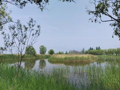 -野鸭湖国家湿地公园