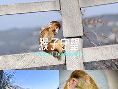 -神农山景区