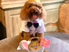 -可可露咖啡店(大东店)