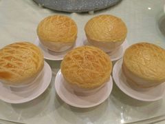 -新兴·金羊座·粤菜点心(乐峰店)