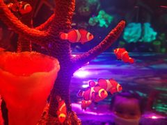 -沈阳海洋探索中心