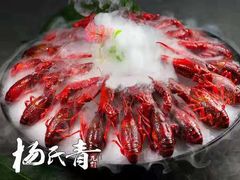 冰镇龙虾-杨氏青龙虾·羊蝎子(金盛路总店)
